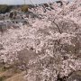 【記念樹の森】展望台からの眺めは絶景かな～♪  