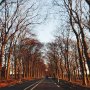 The road ahead.. #papendal #nederlandsteam