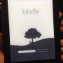 I just bought a kindle!