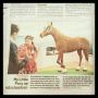 Today at newspaper @AD with the TORCHMeister and #mylittlepony @torchgallery @artrotterdam