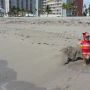   Privézwembad op het strand. #cs