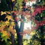 It's fall...