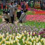 【ひたち海浜公園2016】それでもGW前の平日に行ったからこれでも空いてる方なんだろう...ｗ 