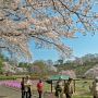 【長峰公園】9時を過ぎるとお客さんも増えてきました 駐車場が少ないのがここの欠点だな・・・