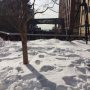 High Line in de sneeuw. 