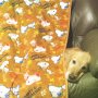 ソファで暴れてたはずが、お布団かぶってるみたいになったはなちん🙃